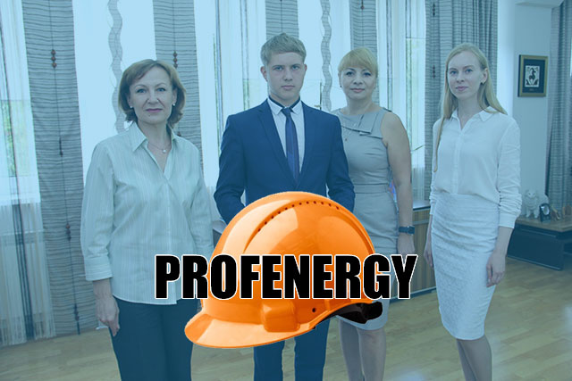 Profenergy